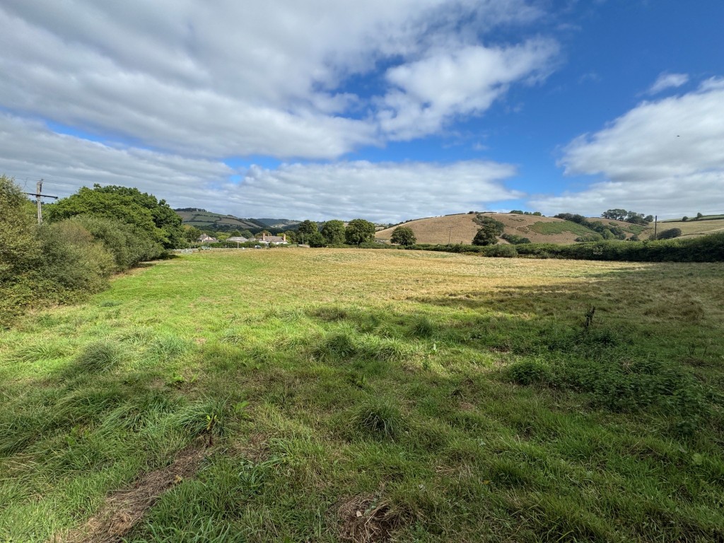 Lot: 44 - OVER THREE ACRES PADDOCK LAND WITH FRONTAGE - General view of paddock 2